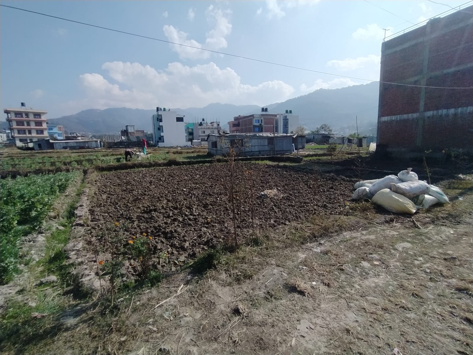 Picture of Mahalaxmi Municipality, Bagmati